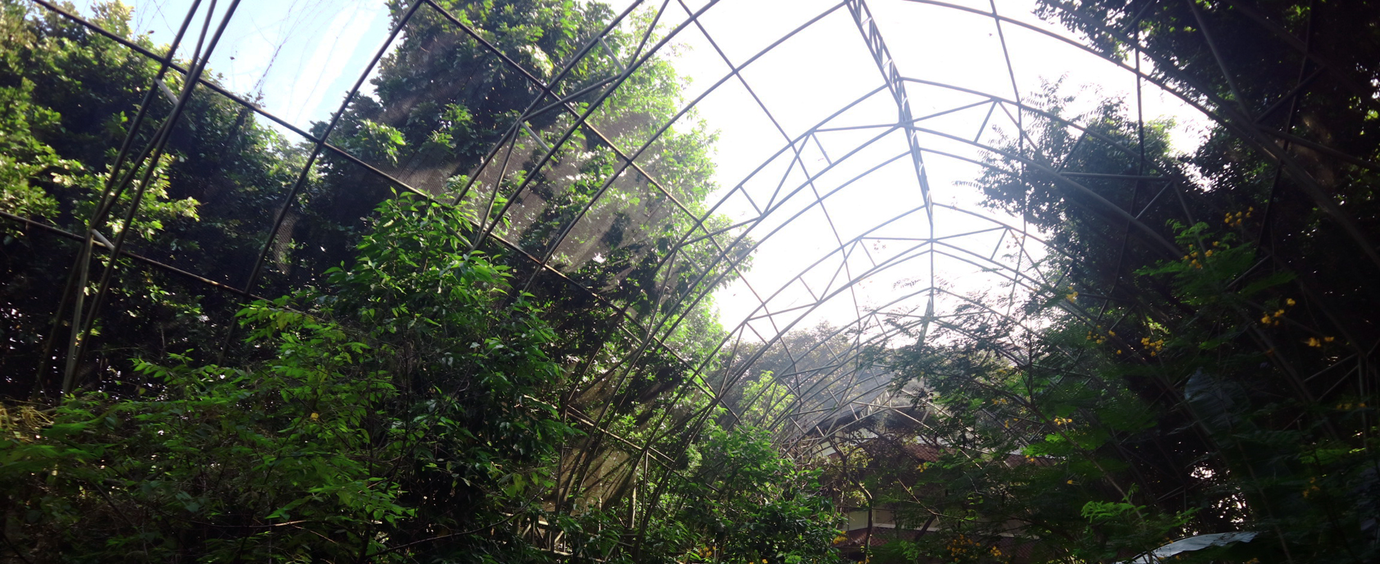 Taman Kupu-kupu